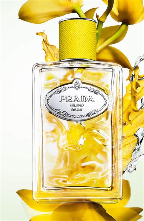 prada infusion ylang|prada infusion d'ylang perfume.